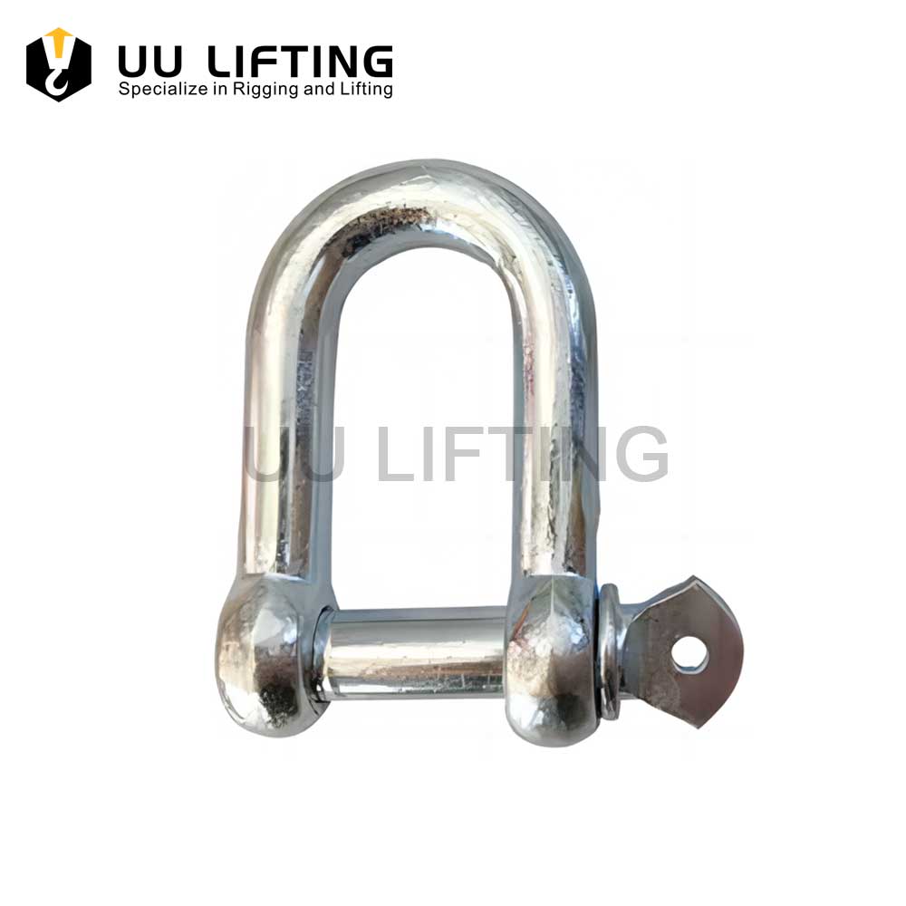 European Type Large Dee Shackle